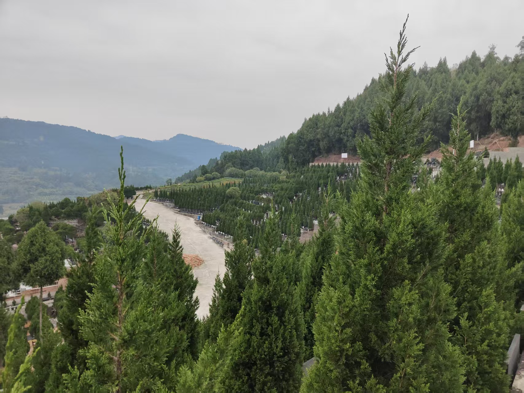 金龙山公墓实景1
