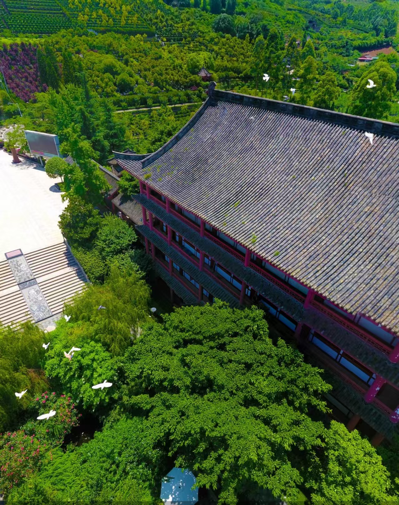 长松寺公墓实景1