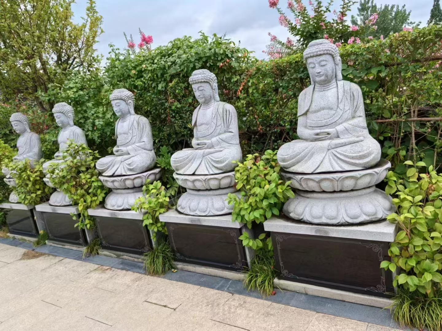 院山公墓实景3